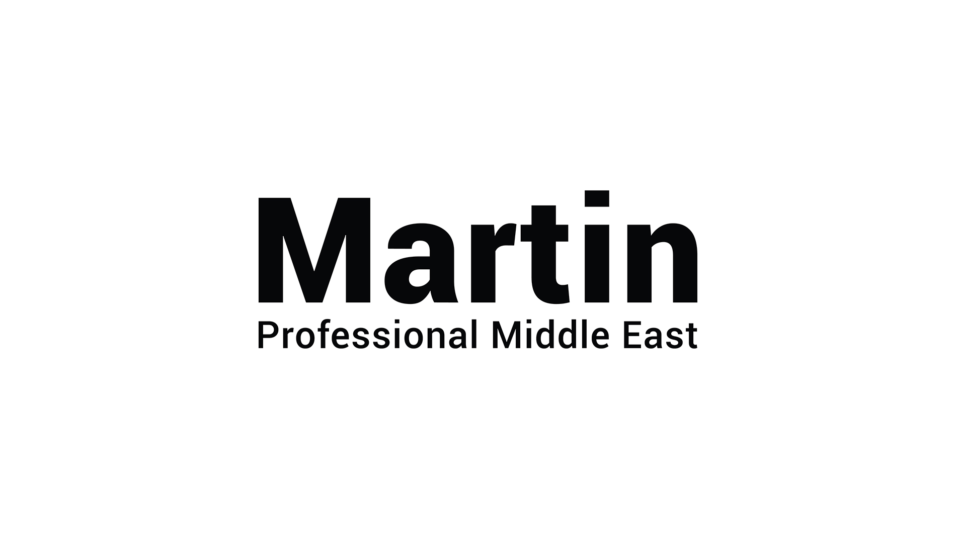 Martin LOGO - PLSME